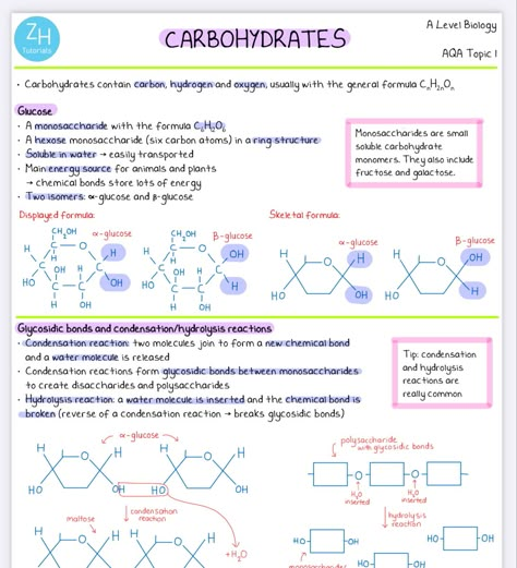 Biology Carbohydrates Notes, Ocr Biology A Level, Alevel Bio Notes, Carbohydrates Notes Biology, As Level Biology, Gcse Biology Revision Notes Edexcel, Aqa A Level Biology, A Level Biology Notes Aqa, Ocr A Level Biology Notes