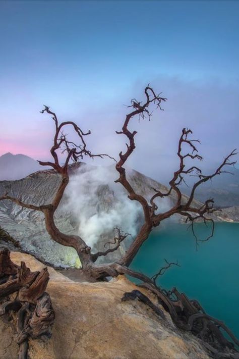 ijen crater, kawah ijen Ijen Crater, Manifesting 2023, Party Design Poster, Kawah Ijen, Mount Bromo, 2024 Travel, Blue Flame, East Java, Travel Plan