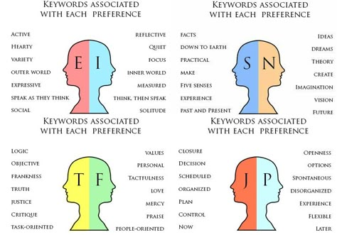 Mbti Meaning, Isfj Personality, Infp Personality Type, Enfp Personality, Meyers Briggs, Intp Personality, Infj Personality Type, Intj Personality, Mbti Relationships