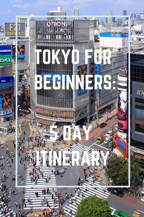 5 day Tokyo itinerary for beginners - How to have the best trip! Travel Japan Tokyo, Tokyo Itinerary, Kyoto Itinerary, Japan Travel Destinations, Tokyo Travel Guide, Tokyo Trip, Japan Holidays, Tokyo Japan Travel, Japan Itinerary