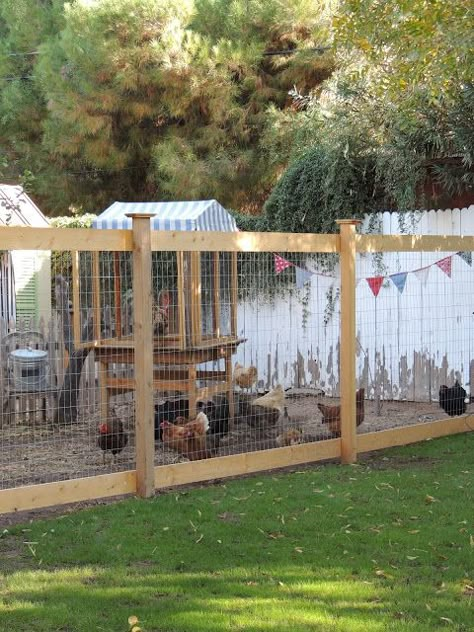 I like this idea for a tall deer-proof fence that doesn't obscure sight lines. Brava! Chicken Fence, Deer Proof, Chicken Pen, Deer Fence, Fencing Ideas, Cheap Backyard, Keeping Chickens, Backyard Farming, Chicken Runs