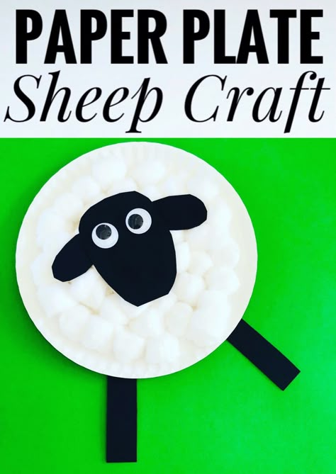 Paper Plate Sheep, Sheep Craft, Lamb Craft, Farm Week, Farm Theme Preschool, Sheep Face, Nursery Rhymes Preschool, Farm Animal Crafts, Sheep Crafts