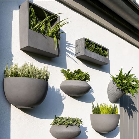 They're almost here! Our Wally Wall-Mounted Fiberstone Planters from Dutch brand Pottery Potts will soon be arriving in 2 new designs: The Balcony Low Wally is a slimline rectangular wall planter and the Jack Wally is a slimline square planter. Transform your space into an endless oasis of greenery. An ideal collection for wall mounting climbing plants or hang in groups to create a green wall. Wally planter pots are made from high-quality fiberstone composite material with a finish that re... Wall Flower Pots Outdoor, Concrete Wall Planter, Wall Pots For Plants Outdoor, Hanging Pots Outdoor, Indoor Wall Planter Ideas, Wall Mounted Planters Outdoor, Black Balcony, Green Wall Plants, Zz Plants