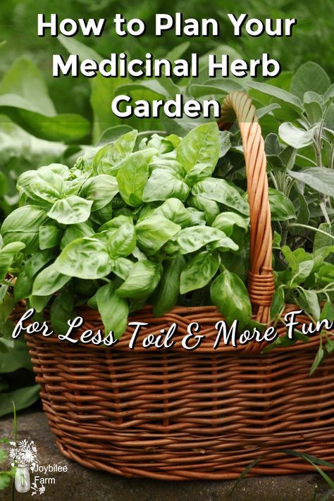 How to Plan Your Medicinal Herb Garden For Less Toil and More Fun Medical Herb Garden, Herbalist Garden, Medical Garden, Natural Medicines, Medicinal Herb Garden, Medicine Garden, Outdoor Herb Garden, Herb Garden Ideas, Medicinal Herbs Garden