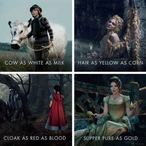 Go to the wood and bring me back... Into The Woods Movie, Into The Woods Musical, Milk Hair, Into The Woods Quotes, Broadway Tickets, Social Media Art, Theatre Geek, Media Poster, Theatre Life