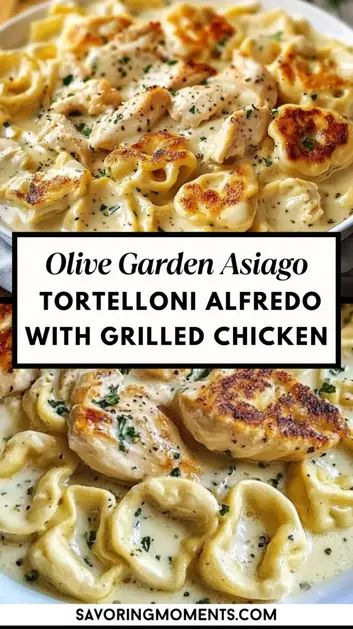 Craving Olive Garden’s famous Asiago Tortelloni Alfredo with Grilled Chicken? Now you can make this creamy, cheesy, and savory dish at home! Enjoy tender grilled chicken over Asiago-stuffed tortelloni, all smothered in rich Alfredo sauce. It’s an irresistible copycat recipe perfect for pasta lovers. Asiago Tortellini, Grilled Chicken Alfredo, Asiago Chicken, Tortellini Alfredo, Grilled Chicken Recipe, Olive Garden Recipes, Chicken Tortellini, Tortellini Recipes, Chicken Alfredo Recipes