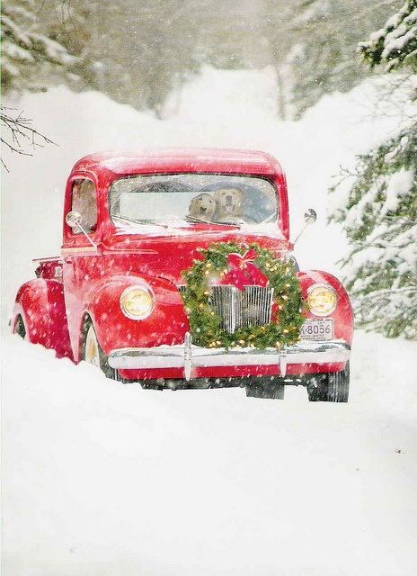 Christmas Picture of the Day  I love the two dogs driving but is that a horse on the passenger side Old Red Truck, Red Truck, The Back, Wreath, Trees, Christmas, Red