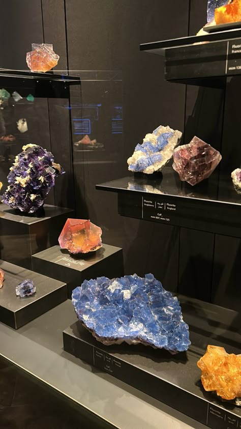 #aesthetic #crystals #crystalhealing #crystalshop #crystalsandgemstones #meaning #meaningful #museum #museumaesthetic Gemstone Collection Display, Gemology Aesthetic, Geology Aesthetic, Gemstones Aesthetic, Crystal Collection Display, Gemstone Display, Aesthetic Crystals, Geode Decor, Minerals Museum