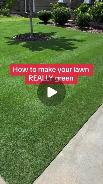 Bermuda Dad | Chris Lazo on Instagram: "Ever wonder how people seem to get their lawns really green? I dont mean kind of green, but GREEN. They’re almost always going to be using IRON. In this video, I show the effect of Darker Green Liquid Iron by @simplelawnsolutions on my grass after only 5 days. Wanna try? Nab that discount by going to the l|nk in my b|0 #lawncare #lawnmaintenance #lawncarelife #bermudagrass" Green Grass Tips Lawns, How To Get Grass To Grow In Bare Spots, Green Lawn Tips Yards, Front Lawn Ideas, Front Lawn Landscape Ideas, Bermuda Grass Lawn, How To Grow Grass, Lawn Renovation, Lawn Striping