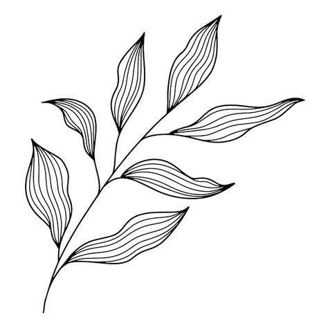 Vector Leaf Pattern, Flower Branches Drawing, Tropical Leaves Line Art, Botanical Leaf Illustration, Plant Line Illustration, Leaf Pattern Drawing, Leaves Design Drawing, Leaf Branch Drawing, Leaves Outline Drawing