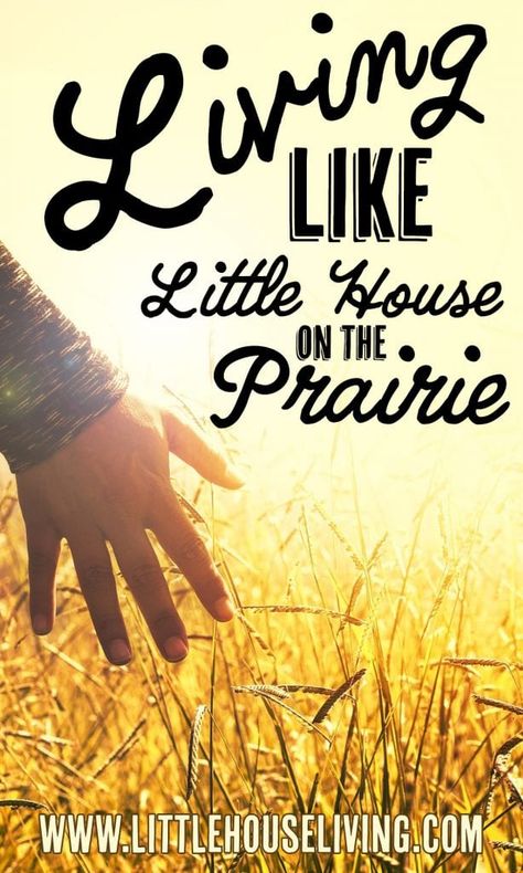 Primitive Lifestyle, Log Cabin Craft, Prairie Aesthetic, Self Sufficient Living, Cabin Crafts, 10 Year Plan, Biblical Parenting, Pioneer Life, Simple Living Lifestyle