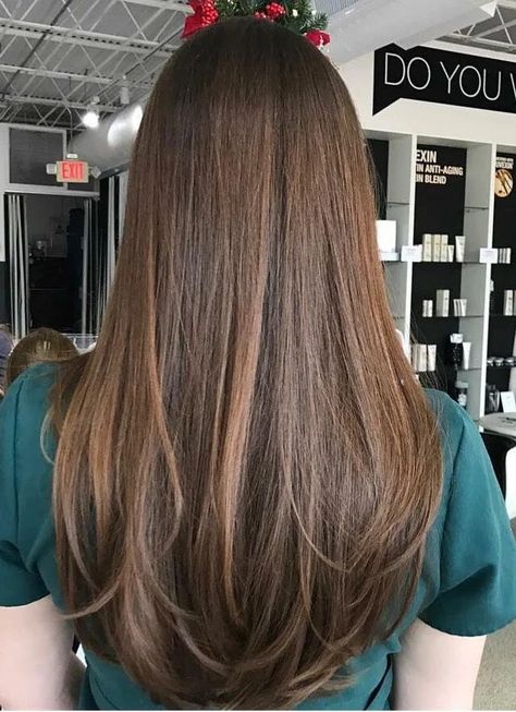 Haircuts Layers Straight Hair, Blended Long Layers Straight, Subtle Layers With Curtain Bangs, Noticeable Layers Hair, Long Layers Brunette Straight, Thick Hair With Long Layers, Long Layer Hair Cuts For Women, Long Straight Hair Long Layers, No Layered Haircut