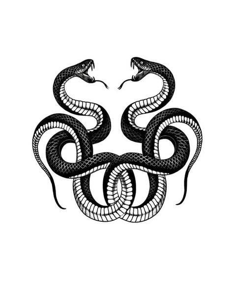 Snake Clipart, Snake Svg, Snake Png, Snake Heads, Cobra Tattoo, Tattoos Creative, Serpent Tattoo, Tattoo Line, Snake Tattoo Design