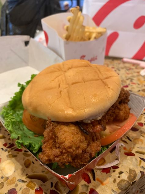 Spicy Chicken Sandwich Chick Fil A, Chic Fil A Chicken Sandwich, Chicken Sandwich Chick Fil A, Chicken Sandwich Aesthetic, Chicken Sandwich And Fries, Chick Fil A Aesthetic, Chick Fil A Chicken Sandwich, Chick Fil A Sandwich, Cooking Soul Food