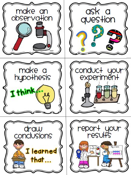 scientific process for kids | Classroom Freebies: Scientific Method Cards Scientific Method For Kids, Scientific Method Steps, Scientific Method Posters, Scientific Method Worksheet, 1st Grade Science, Kid Science, First Grade Science, Primary Science, Classroom Freebies