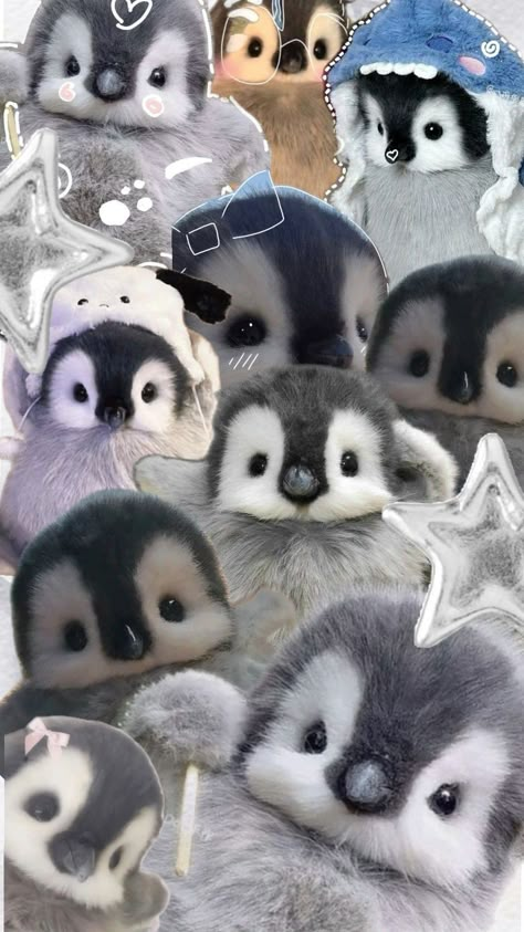 pingüino wallpaper Cute Wallpapers Penguin, Cute Wallpaper Animals, Cute Animal Lockscreen, Cute Small Animals Wallpaper, Cute Penguin Wallpaper Iphone, Cute Animals Wallpaper Iphone, Blue Penguin Wallpaper, Penguin Aesthetic Wallpaper, Penguin Lockscreen