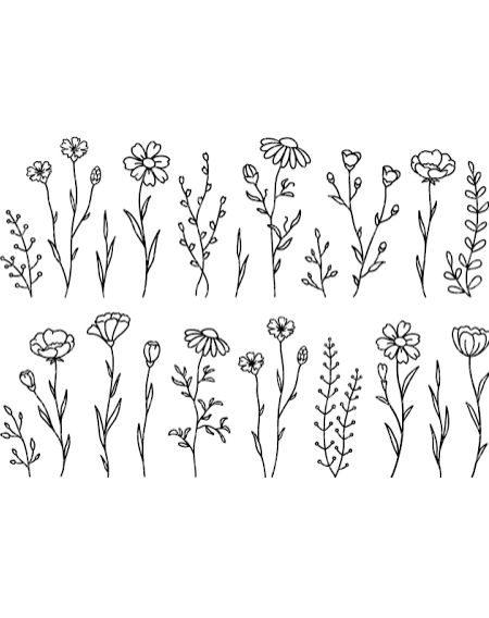 How To Draw Dainty Flowers, Floral Clipart Black And White, Wildflower Doodles Simple, Simple Drawing Of Flowers, Vine Doodles Simple, Hand Drawn Flowers Simple, Wild Flower Doodles, How To Draw Simple Flowers, Simple Flowers To Draw