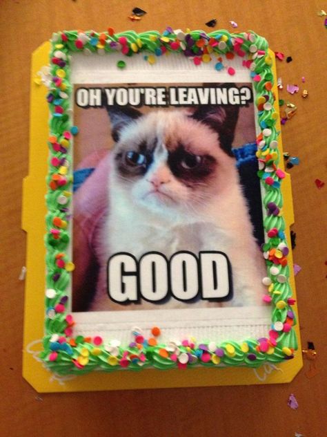 Here are the rudest goodbye cakes given to office workers after they quit... and they're bound to make you chuckle Farewell Cake Ideas Coworker Funny, Cat Themed Retirement Party, Funny Goodbye Cake, Grumpy Cat Birthday, Goodbye Cake, Grump Cat, Funny Goodbye, Farewell Cake, Funny Cakes