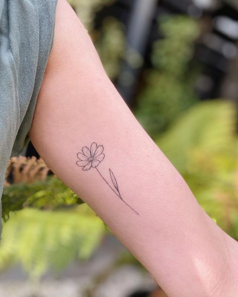 STICKS NOT STONES LONDON on Instagram: “Healed cosmo 💕 •” Simple Cosmos Tattoo, Cosmos Tattoo Flower, Cosmos Flowers Tattoo, Cosmo Tattoo, Cosmo Flower Tattoo, Margarita Flower, Cosmos Tattoo, Line Drawing Tattoos, Flower Tat