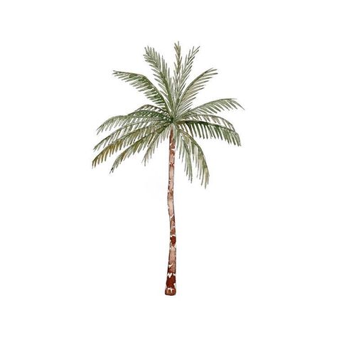 Brown Poster, Skincare Accessories, Aesthetic Lifestyle, Accessories Bag, Life Funny, Tiktok Style, Green Brown, Palm Tree