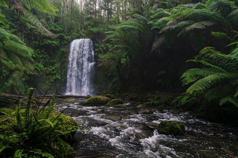 (2022) Top 5 Landscape Photography Locations in Victoria, Australia — Mitch Green Photos | Landscape Photography Landscape Images Horizontal, Forest Landscape Photography Horizontal, Landscape Photography Nature Horizontal, Landscape Photography Horizontal, Forest Horizontal, Australian Nature, Visual Essay, Photos Landscape, Environment Photography