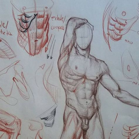 Drawing Inspo Anatomy, Shoes Bottom View Drawing, Bed From Above View Drawing, Body Anatomy Reference Drawing, Big Man Drawing, Grinning Drawing Reference, Torso Construction, Sketch Anatomy, Anatomy Sketches