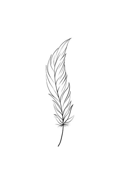 Small Feather Tattoo Behind Ear, Feather Line Tattoo, Fine Line Feather Tattoo Design, Feather Ear Tattoo, Fine Line Feather Tattoo, Feather Line Art, Plumas Tattoo, Feather Tattoo Drawing, Feather Hip Tattoos