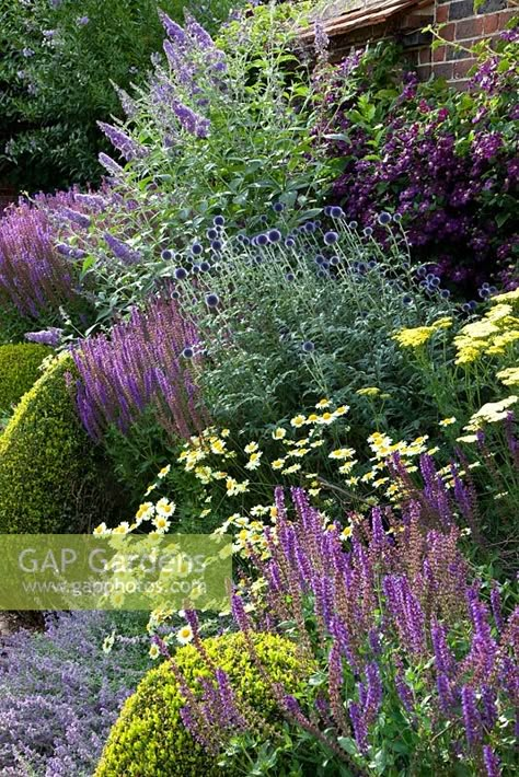 Salvia Garden, Summer Border, Rosen Beet, Garden Illustration, Garden Aesthetic, English Cottage Garden, Big Garden, Pink Garden, Flowers Wallpaper