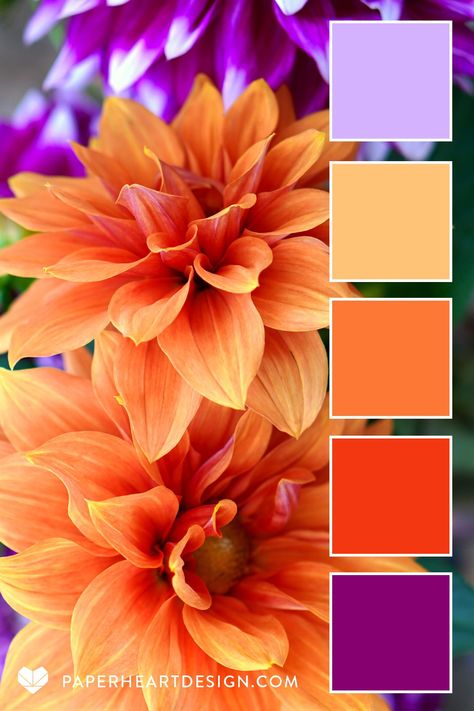 Carrot Colour Combination, Color Palette Flowers Colour Schemes, Orange Colour Palette Inspiration, Flower Colour Combinations, Color Pallet For Branding, Colors That Go Good Together, Spring Decor Color Palette, Orange Pink Purple Color Palette, Mandala Color Pallets