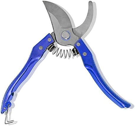 Pruning Shears Strong Garden Hand Pruner Secateurs Plants Cutter, Sharp Pruning Scissors/Gardening Tool, Professional Tree and Branch Garden Pruner (1 x Blue Pruner) Check more at https://uk.productsoffer.in/pruning-shears-strong-garden-hand-pruner-secateurs-plants-cutter-sharp-pruning-scissors-gardening-tool-professional-tree-and-branch-garden-pruner-1-x-blue-pruner/ Tree Garden, Flower Tree, Hand Tool, Garden Trees, Pruning Shears, Garden Flower, Farm Equipment, Flowering Trees, Tools And Equipment