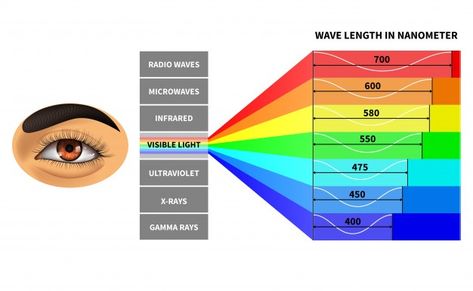 Spectrum Illustration, Em Spectrum, Eye Health Facts, Bad Fruit, Wedding Planning Templates, Visible Light Spectrum, Light Bulb Icon, Tree Of Knowledge, Electromagnetic Waves