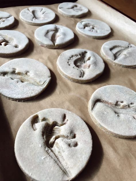 Prehistoric Salt Dough Fossils Salt Dough Fossils, Flour Crafts, Stem Art, Prehistoric Dinosaurs, Toddler Arts And Crafts, Toys Diy, Virtual Learning, Art Food, Salt Dough