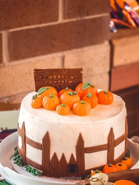 Pumpkin Cake Design Birthday, Spooky Halloween Food Ideas, Halloween Cheese Board, Pumpkin Patch Cake, Halloween Cheese, Autumn Cakes, Baking Halloween, Pumpkin Patch Party, Patch Party