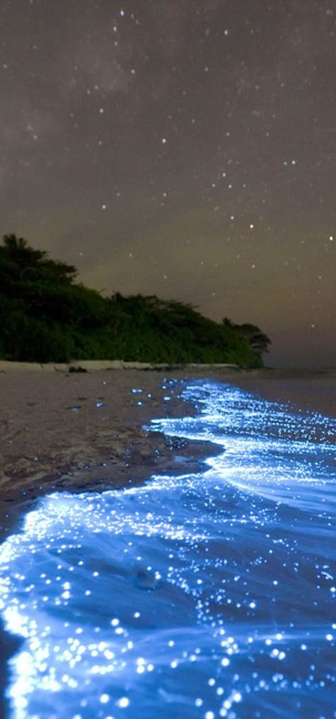 Sea of Stars caused by microscopic organisms called bioluminescent phytoplankton -  Vaadhoo Island in the Maldives. Vaadhoo Island, Bioluminescent Bay, Magic Places, Maldives Beach, Sea Of Stars, Stars In The Sky, Backgrounds Iphone, Porto Rico, Happy Soul