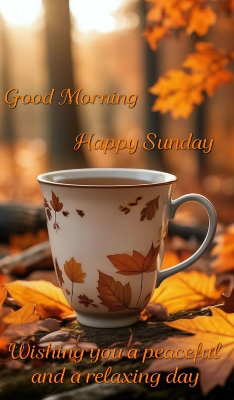 Sunday Fall Quotes, Sunday Morning Images, Fall Good Morning, The Sun Will Shine Again, Good Morning Fall, Morning Sister Quotes, Have A Nice Evening, Good Morning Sister Quotes, Weekend Wishes