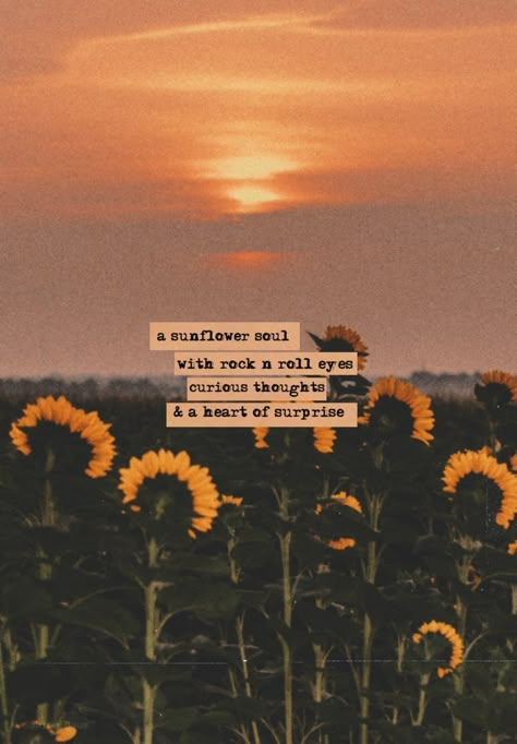 Sunflower Quotes, Aesthetic Quote, Quote Wallpaper, Sunflower Wallpaper, Dear Self Quotes, Sunflower Field, Self Quotes, Mellow Yellow, Better Life Quotes