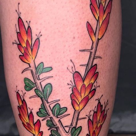 𝔟𝔲𝔰𝔥𝔦𝔡𝔬 𝔰𝔱𝔲𝔡𝔦𝔬 on Instagram: "Nothing to see here, just a DOPE zoomed in design of an ocotillo! #tucsontattooartist #tucsontattoos #phoenixtattooartist #arizonatattooartist #cactustattoo #ocotillo" Yucca Tattoo New Mexico, Ocotillo Cactus Tattoo, Yucca Flower Tattoo, Ocotillo Tattoo, Blooming Cactus Tattoo, Coyote Cactus Tattoo, Cholla Cactus Tattoo, New Mexico Tattoo, Arizona Tattoo