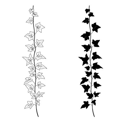 Premium Vector | Ivy branch line art and silhouette vector monochrome botanical sketch isolated on white creeper plant Phi Tattoo, White Creepers, Ivy Tattoo, Creepers Plants, Vine Drawing, Mom Daughter Tattoos, Plant Sketches, Elephant Pictures, Leaf Silhouette