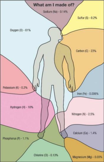 Earth Learning Idea: New ELI - Comparison between the chemistry of the human body and the Earth Human Body Elements, Science Elements, Chemistry Classroom, Chemistry Education, Teaching Chemistry, 8th Grade Science, Chemistry Lessons, 6th Grade Science, Science Chemistry