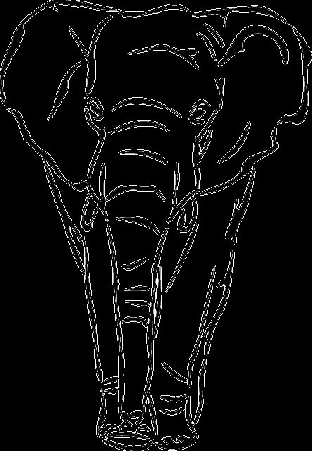 Image gratuite sur Pixabay - Éléphant, Afrique, La Faune, Safari Elephant Face Drawing, Painting Elephant, Elephant Sketch, Elephant Coloring Page, Elephant Colour, Elephant Face, Elephant Pictures, Elephant Drawing, Save The Elephants