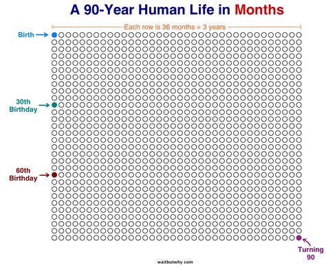 A Human Life in Months - what are you using your time for? (Tim Urban TED Talks) Info Template, Planner Setup Ideas, Fitz And The Fool, Gym Transformation, Melaka Malaysia, Life Calendar, Free Calendar Template, Bad Week, George Town