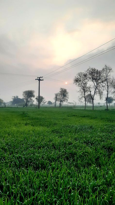 Village Morning Photography, Village Morning, Henna Easy, India Aesthetic, Cloudy Morning, Morning Photography, Weather Cloud, Village Photos, Rainy Morning