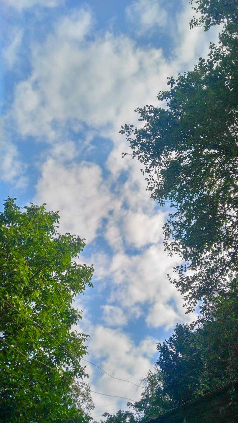 Pretty clouds, sky, trees Cloud Story Instagram, Background Rumput Aesthetic, Instagram Story Views, Picture Cloud, Pretty Clouds, Nature Story, Sky Images, Cloud Photos, Sky Photography Nature