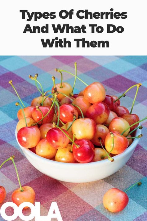 Different Types Of Cherries, What To Do With Cherries, Healthy Foods For Diabetics, Cherry Types, Types Of Cherries, Raw Salad, Homestead Food, Foods For Diabetics, Fruit Plus