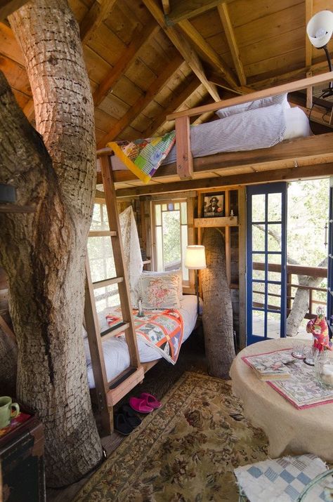 Eclectic Bedrooms, Bunk Room Ideas, Tree House Interior, Cool Tree Houses, Tree House Designs, Real Estat, Eclectic Bedroom, Bunk Bed, House Made