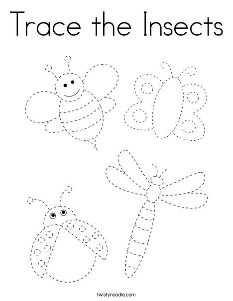 Trace the Insects Coloring Page - Twisty Noodle Bug Exploration Preschool, Insect Coloring Pages Preschool, Insects Activity Preschool, Serangga Aktiviti, Insect Worksheets Kindergarten, Insects Worksheets Preschool, Bug Worksheets Preschool Free Printable, Bug Coloring Pages Free Printable, Insect Preschool Activities