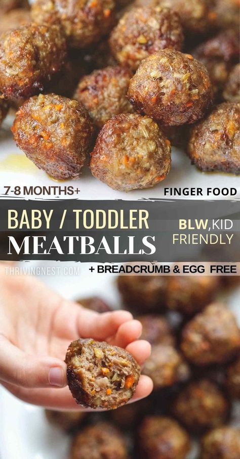 beef meatballs for baby Blw Recipes Dairy Free, Egg Free Lunches For Kids, Zucchini Tots For Baby, Blw Meatballs Beef, Blw No Egg, Blw Steak, Baby Meatballs Beef, Dairy Free Weaning Recipes, Easy Lunches For 12 Month Old