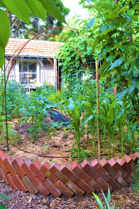 Raised bed greenhouse