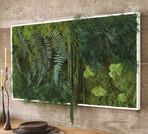 Mos Wand, Moss Wall Art, Vertical Gardens, Moss Garden, Walled Garden, Metal Tree Wall Art, Moss Art, Moss Wall, Terraria