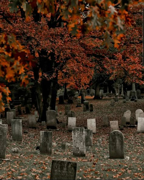 Gothic Autumn Aesthetic, Moody Autumn Aesthetic, Halloween Core Aesthetic, Stephanie Aesthetic, Autumn Graveyard, October Aesthetic Spooky, October Core, Samhain Aesthetic, Stephanie Core